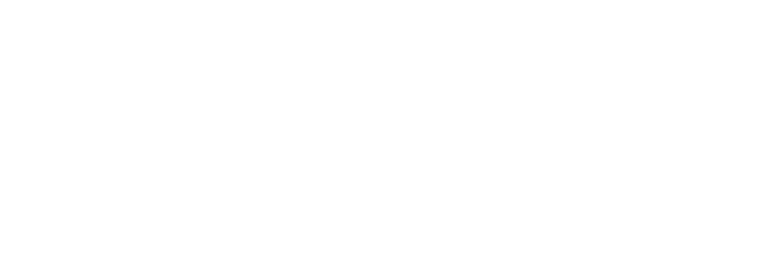 Loyal Insurance Group